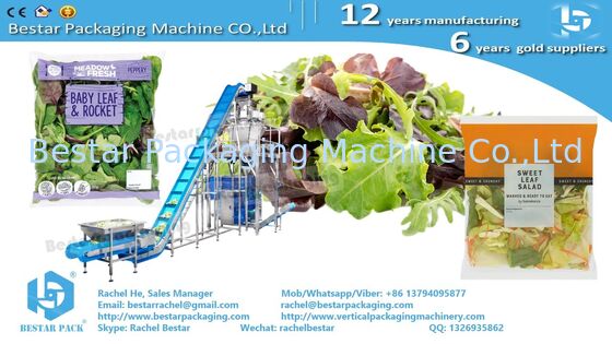 BSTV-350AZ All-in-One Type Packing Machine with 14-head Weigher for Sticky Cucumber Slices (БСТВ-350АЗ Все в одном типе упаковочная машина с 14-главой весовкой для липких нарезок огурцов)