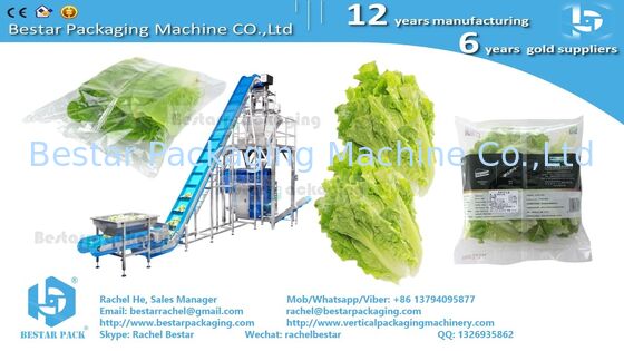 BSTV-350AZ All-in-One Type Packing Machine with 14-head Weigher for Sticky Cucumber Slices (БСТВ-350АЗ Все в одном типе упаковочная машина с 14-главой весовкой для липких нарезок огурцов)